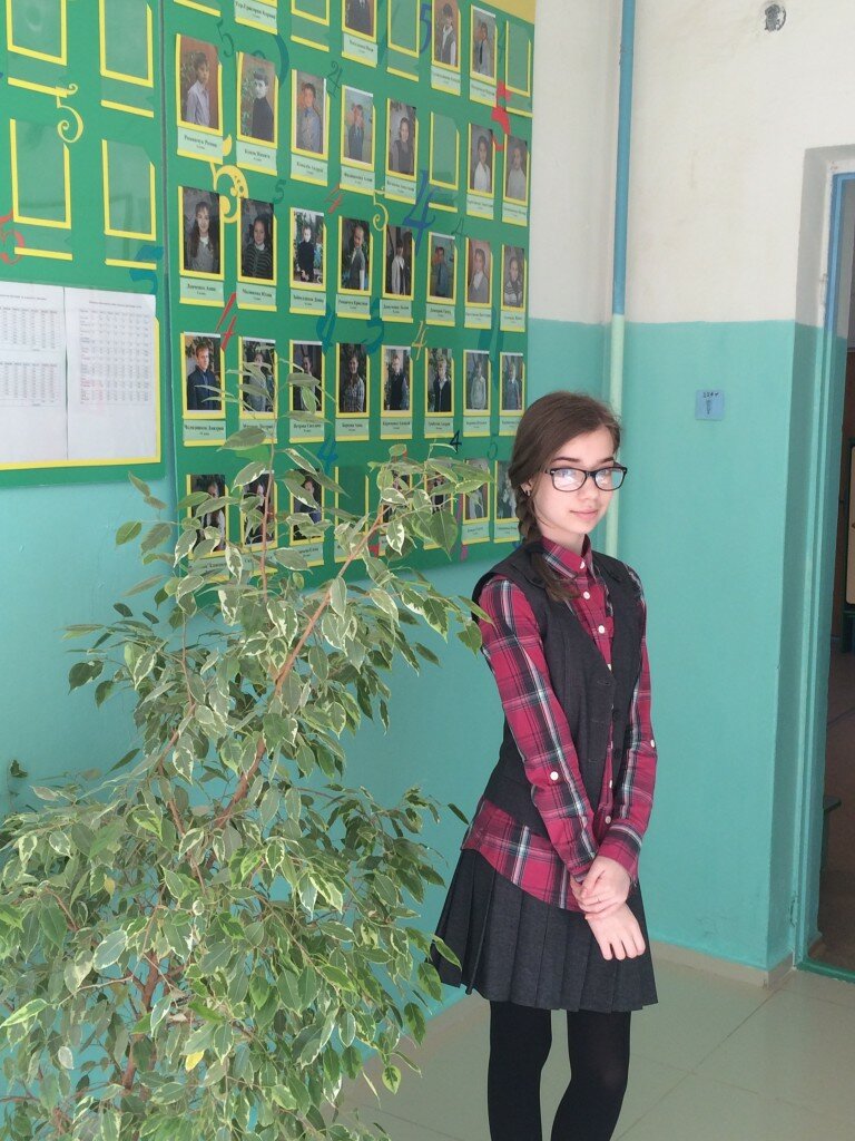 Бобкова Д.,ученица 7 класса, призер районной олимпиады по географии